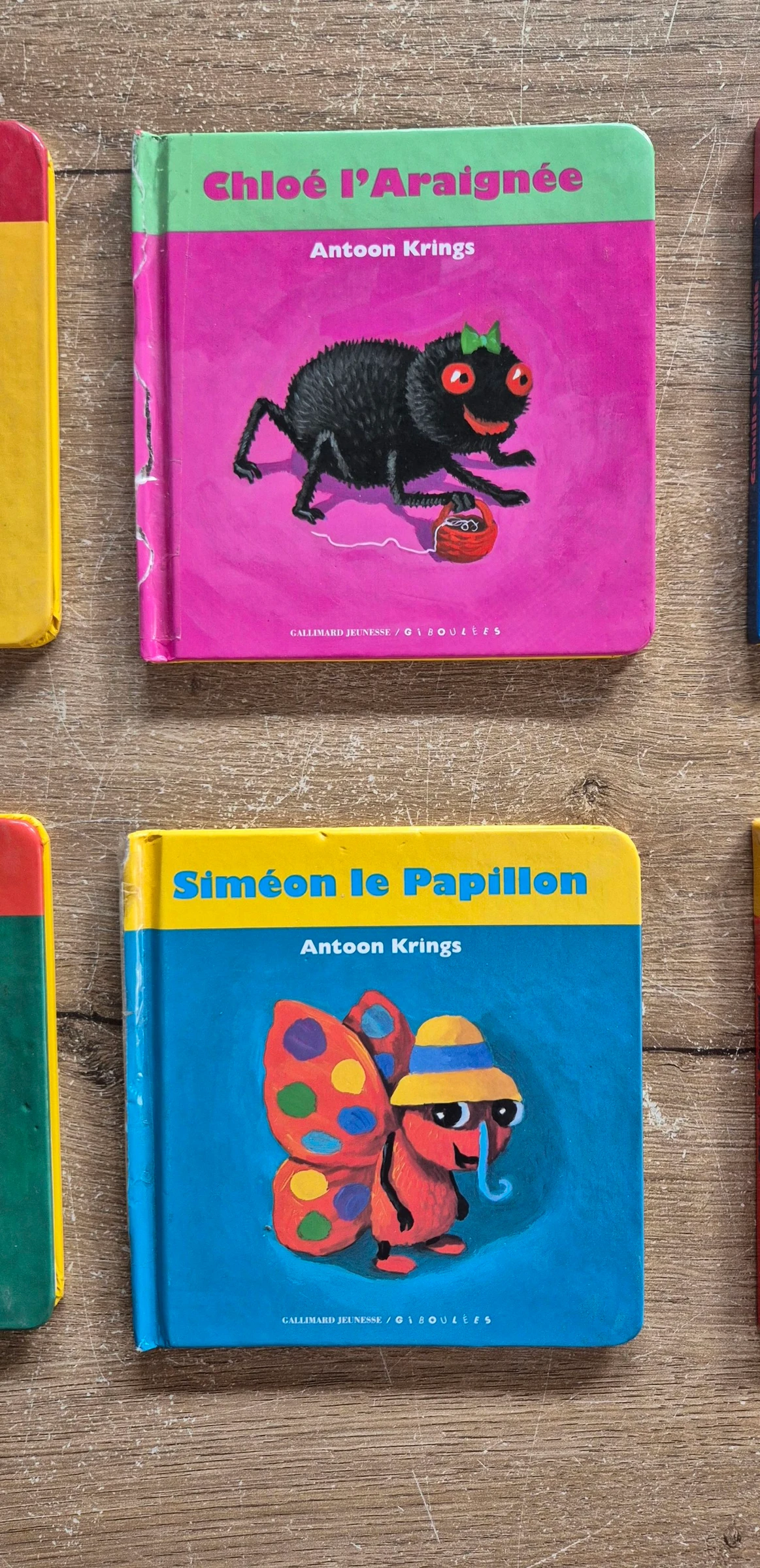 Cofre coleccionista Drôles de petites bêtes – photo 6